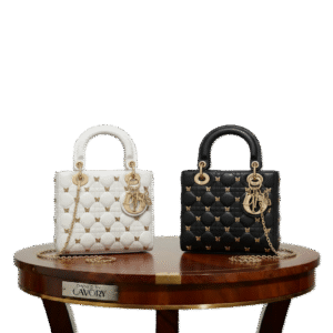 Dior Lady Bag with Butterfly Accents