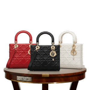 Dior Favourite Lady Bag
