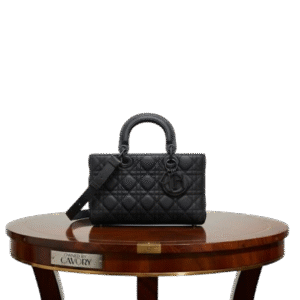 Dior Favorite Lady Joy Dior Bag