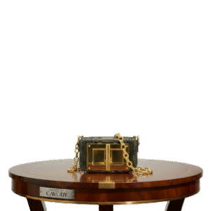 Tom Ford Snake-Embossed Chain Shoulder Bag – Luxury Gold Hardware Crossbody