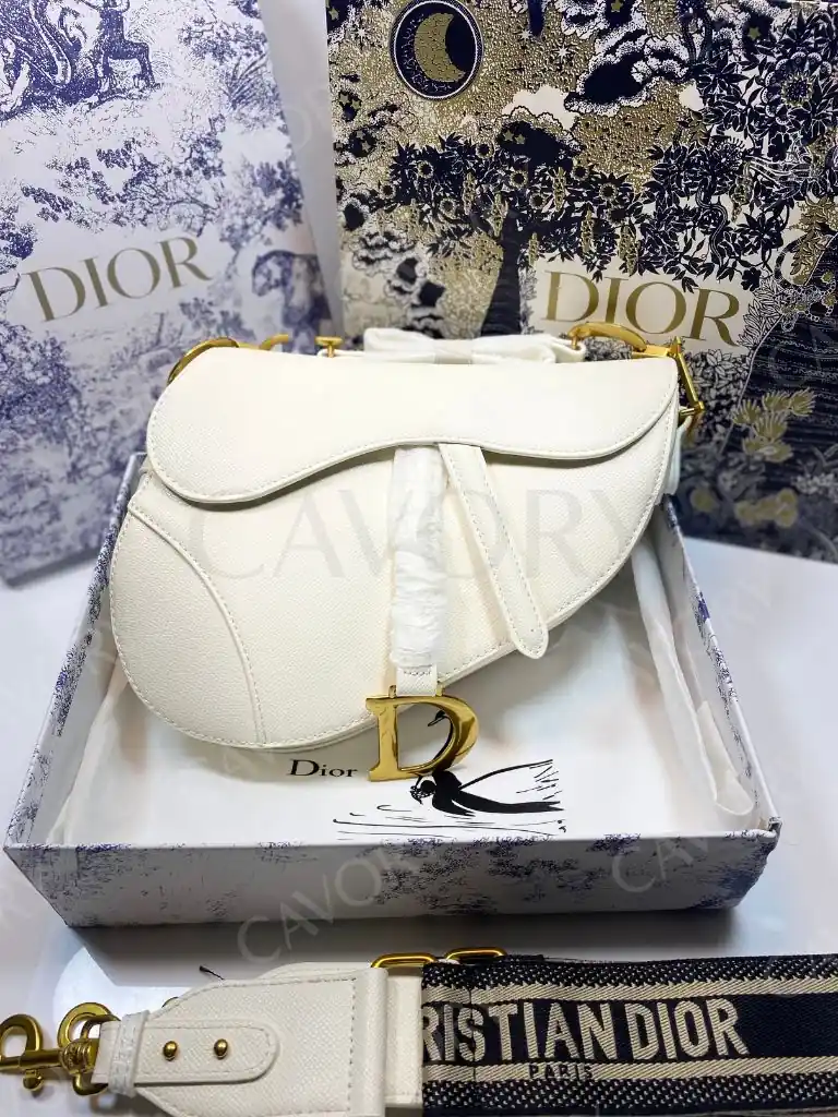 Dior Saddle Bag – Iconic Oblique Canvas