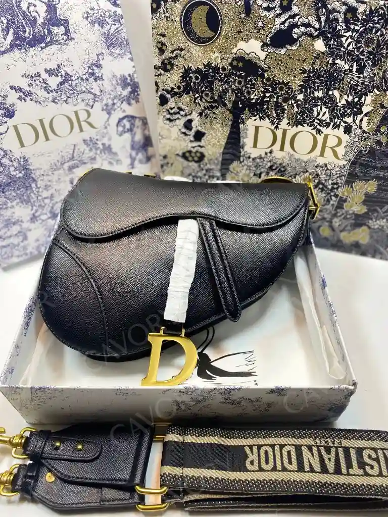 Dior Saddle Bag – Iconic Oblique Canvas