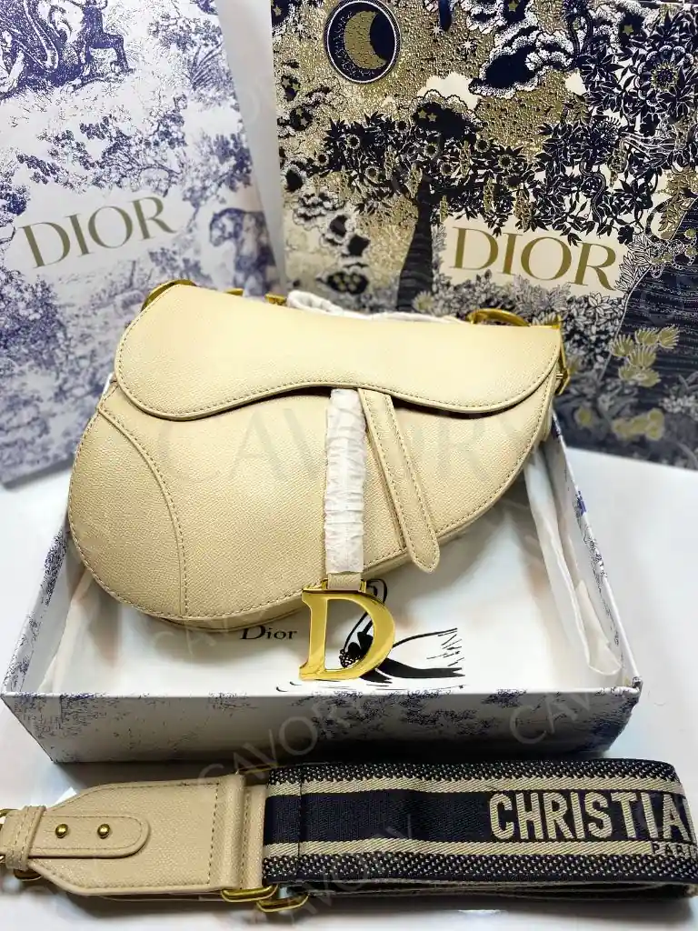 Dior Saddle Bag – Iconic Oblique Canvas
