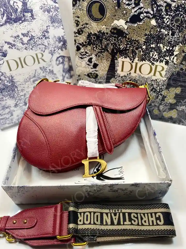 Dior Saddle Bag – Iconic Oblique Canvas