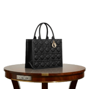 Lady Dior Book Tote Bag