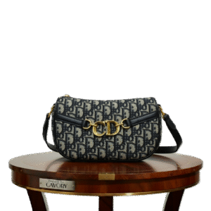 Christian Dior CD Besace Bag